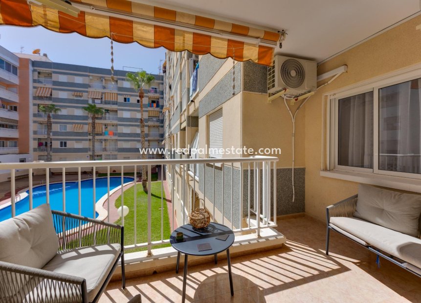 Reventa - Apartamento -
Torrevieja - Centro Torrevieja
