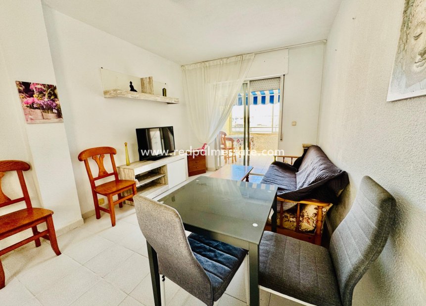 Reventa - Apartamento -
Torrevieja - Centro Torrevieja