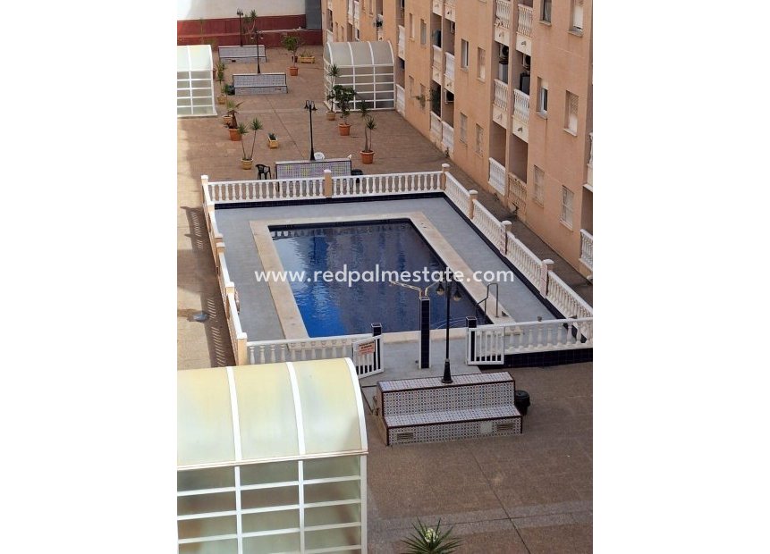 Reventa - Apartamento -
Torrevieja - Centro Torrevieja