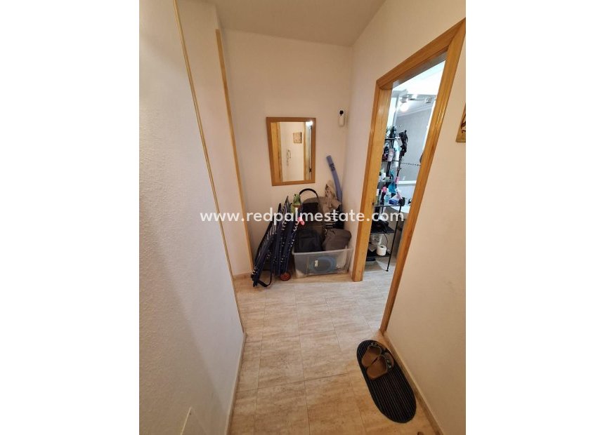 Reventa - Apartamento -
Torrevieja - Centro Torrevieja