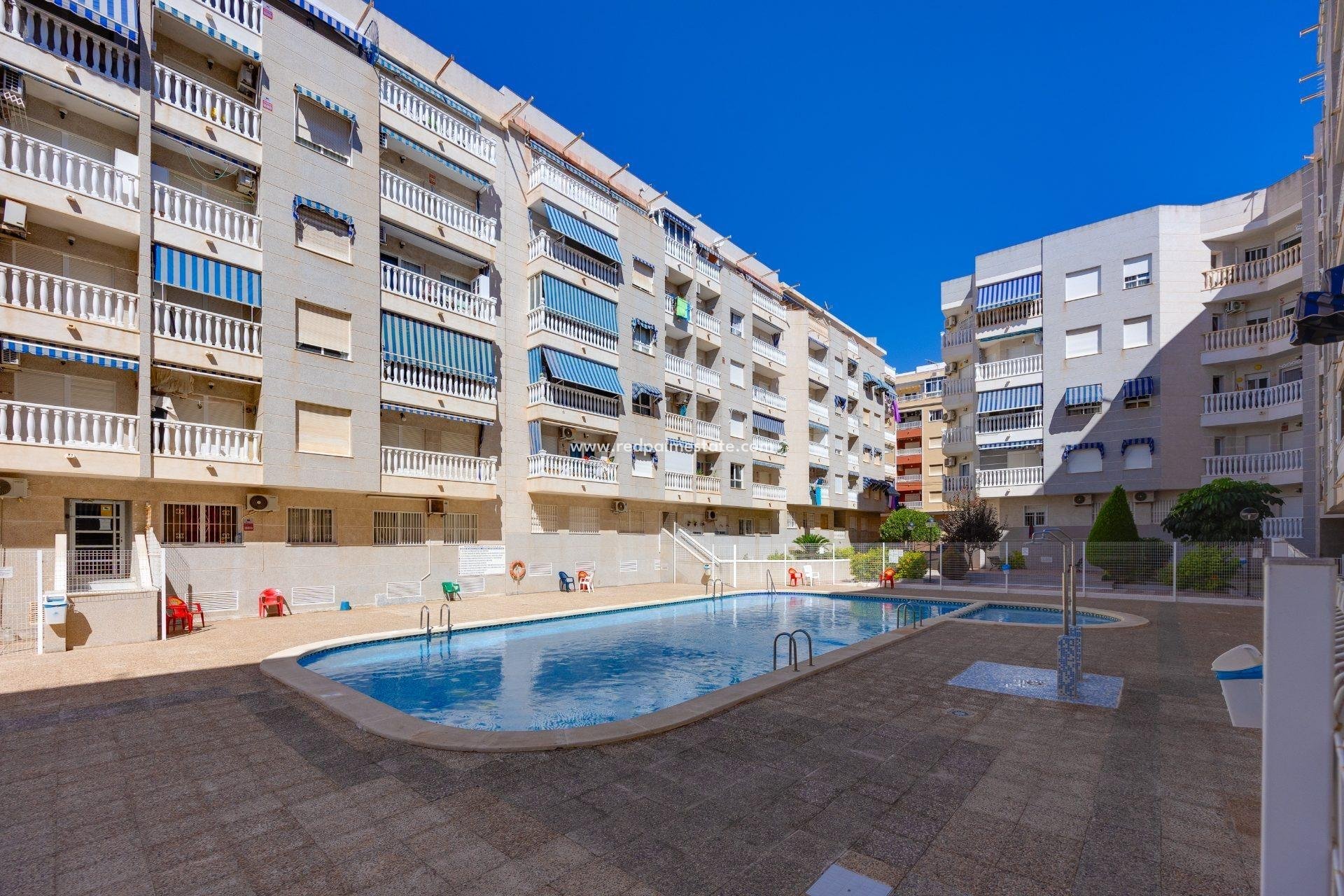 Reventa - Apartamento -
Torrevieja - Centro Torrevieja