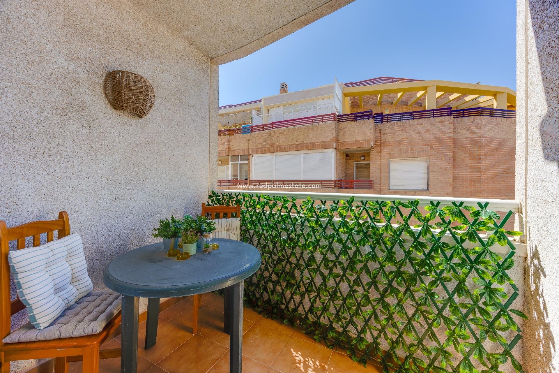 Reventa - Apartamento -
Torrevieja - Centro Torrevieja