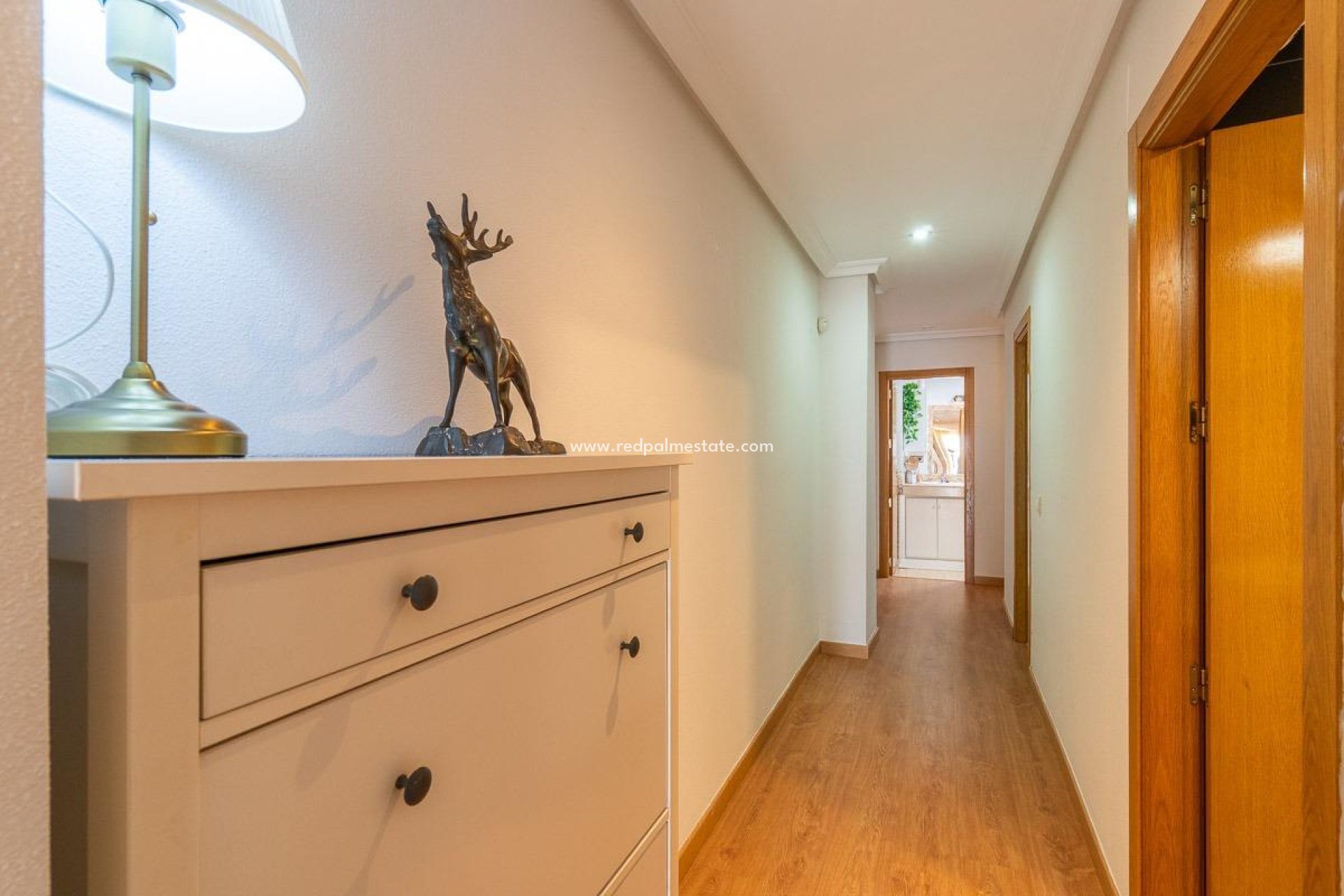 Reventa - Apartamento -
Torrevieja - Centro Torrevieja