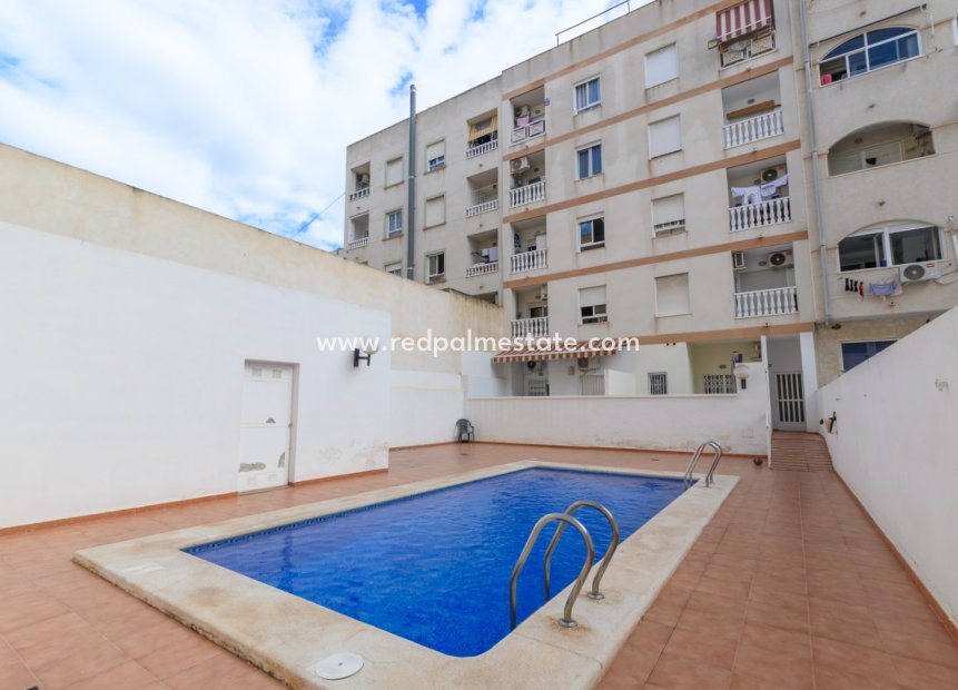 Reventa - Apartamento -
Torrevieja - Centro Torrevieja