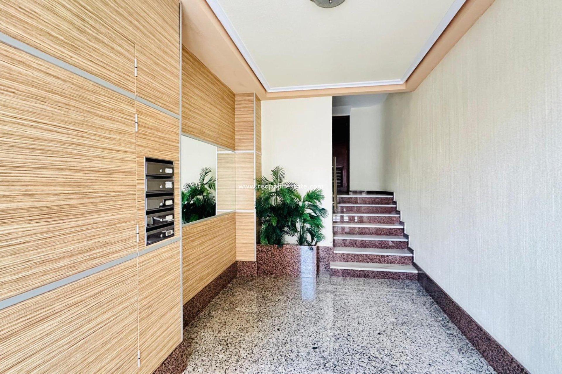 Reventa - Apartamento -
Torrevieja - Centro Torrevieja