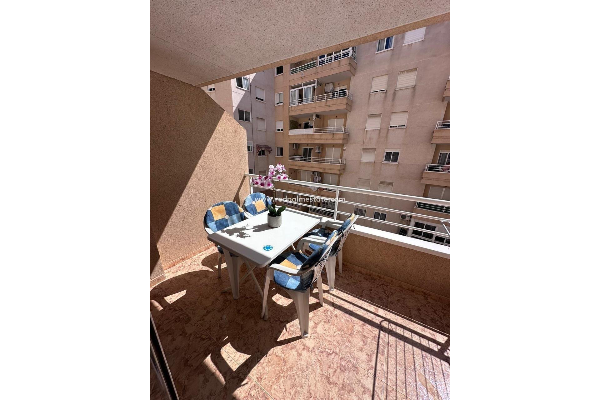 Reventa - Apartamento -
Torrevieja - Centro Torrevieja