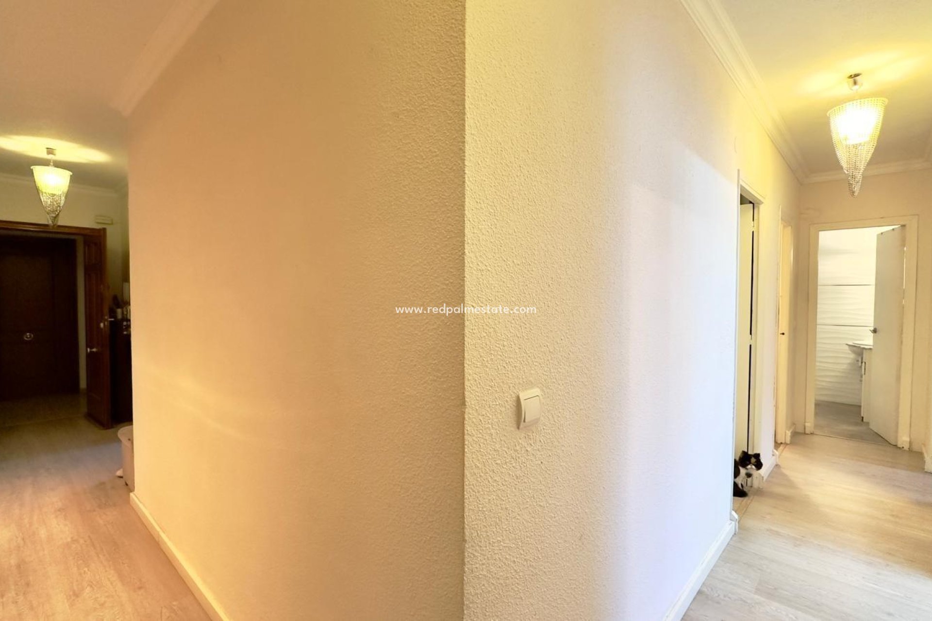 Reventa - Apartamento -
Torrevieja - Centro Torrevieja