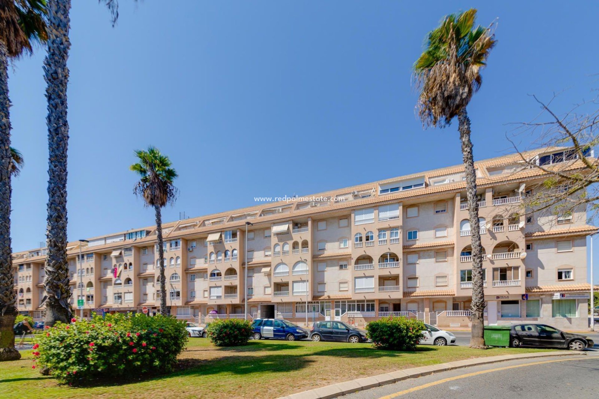Reventa - Apartamento -
Torrevieja - Centro Torrevieja