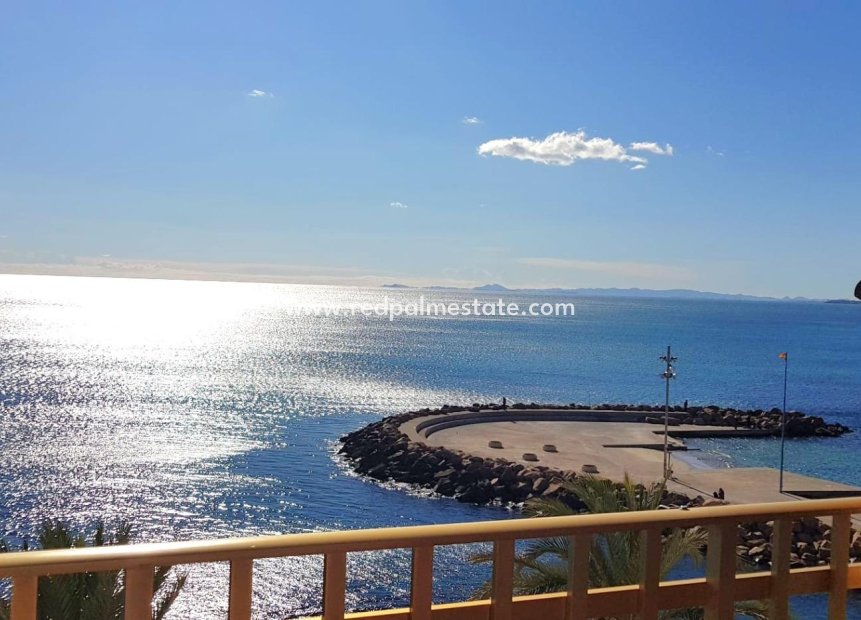 Reventa - Apartamento -
Torrevieja - Centro Torrevieja