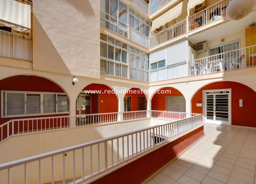 Reventa - Apartamento -
Torrevieja - Centro Torrevieja