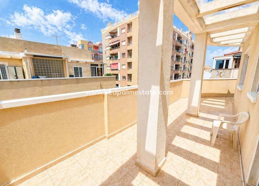 Reventa - Apartamento -
Torrevieja - Centro Torrevieja