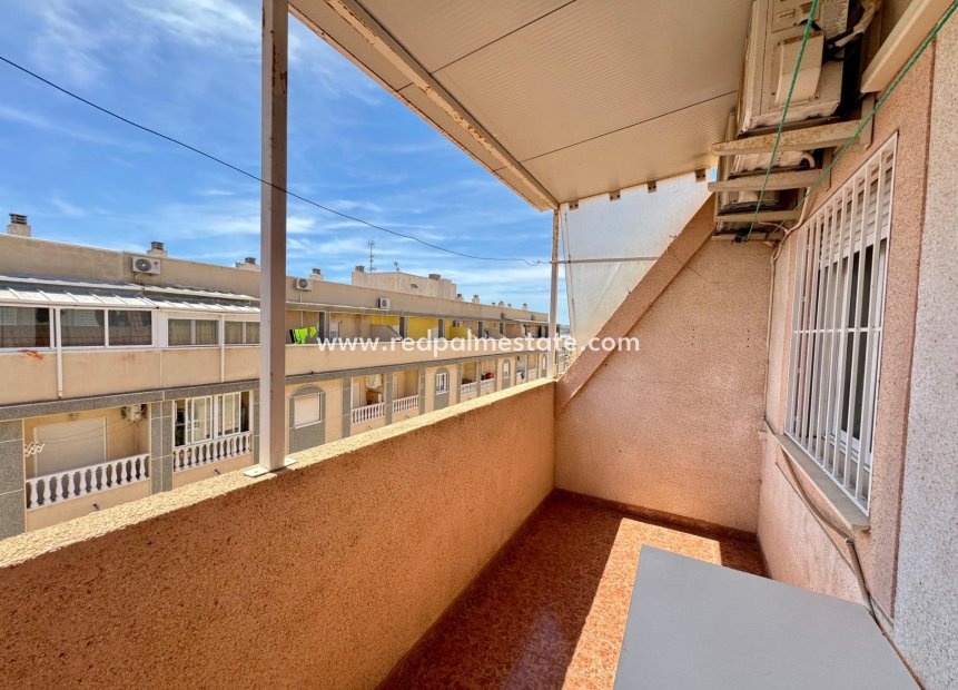 Reventa - Apartamento -
Torrevieja - Centro Torrevieja