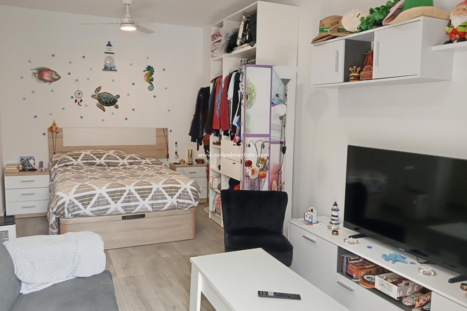 Reventa - Apartamento -
Torrevieja - Centro Torrevieja
