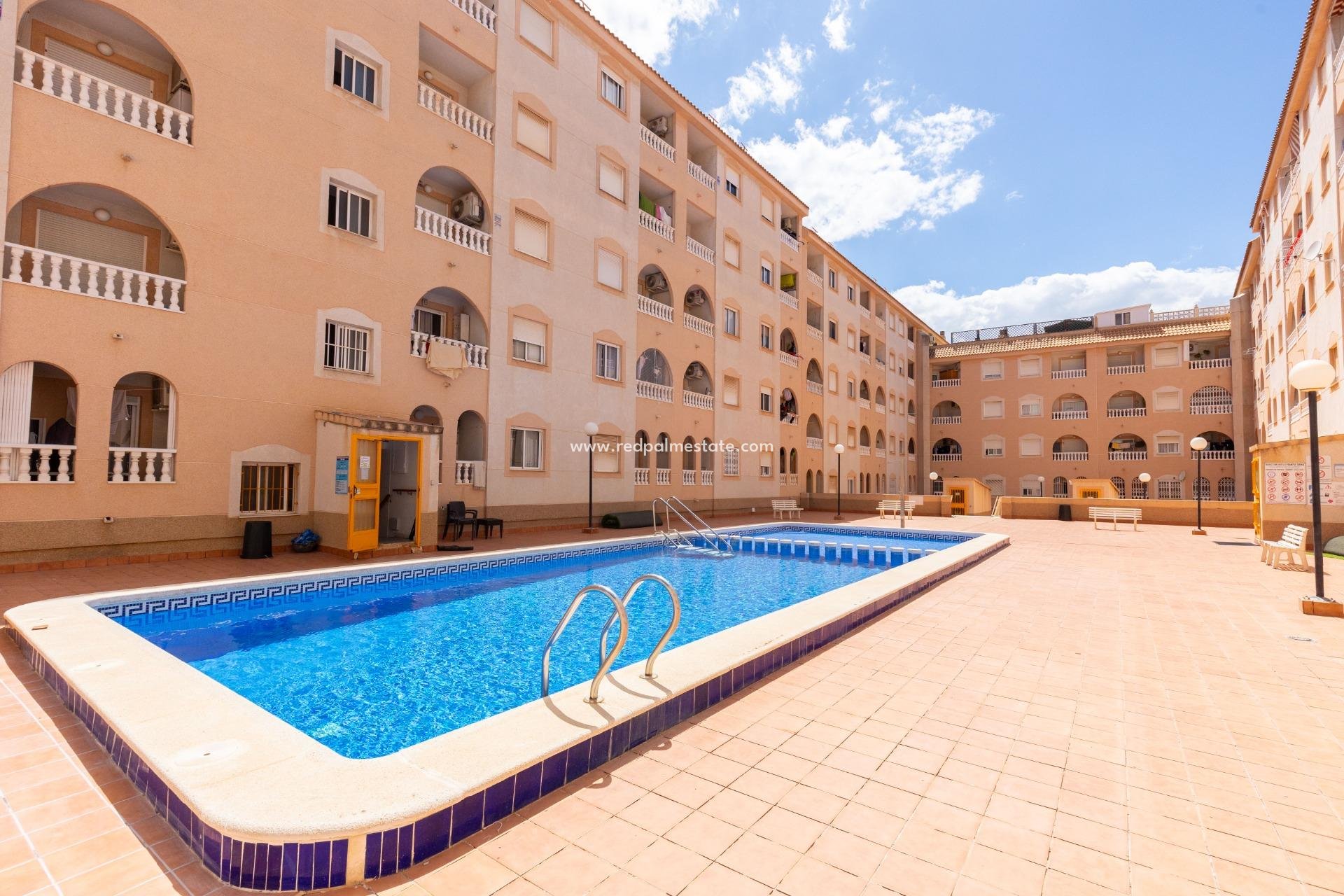 Reventa - Apartamento -
Torrevieja - Centro Torrevieja