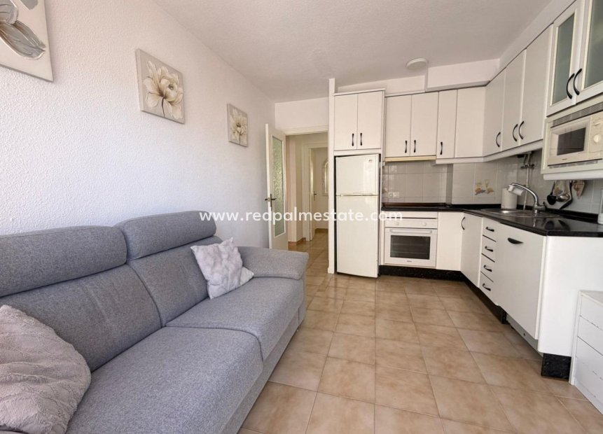 Reventa - Apartamento -
Torrevieja - Centro Torrevieja