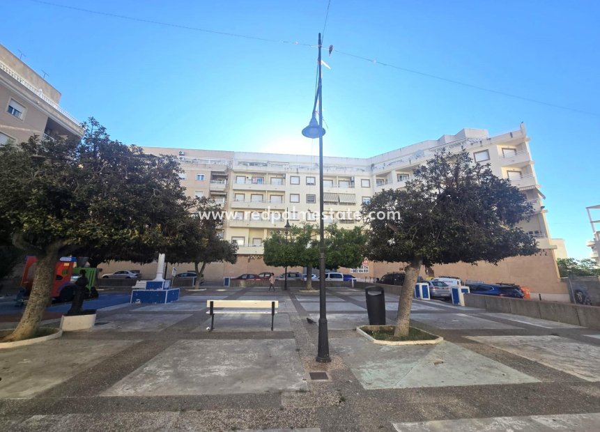 Reventa - Apartamento -
Torrevieja - Centro Torrevieja