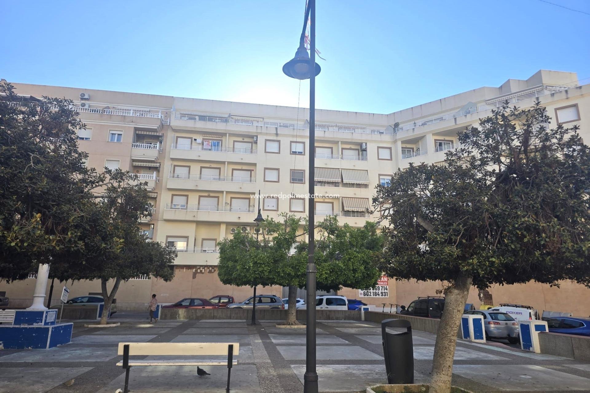 Reventa - Apartamento -
Torrevieja - Centro Torrevieja