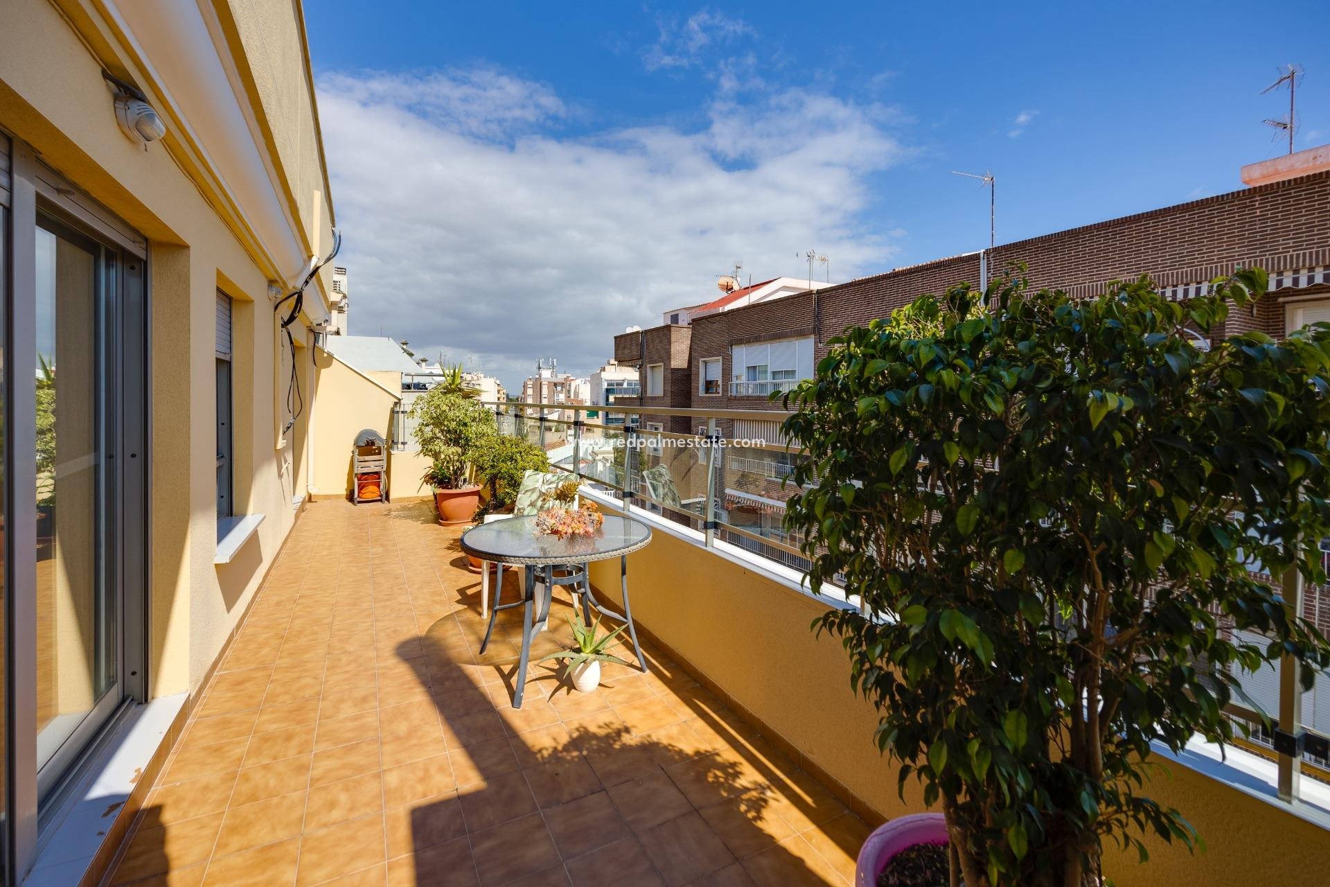 Reventa - Apartamento -
Torrevieja - Centro Torrevieja