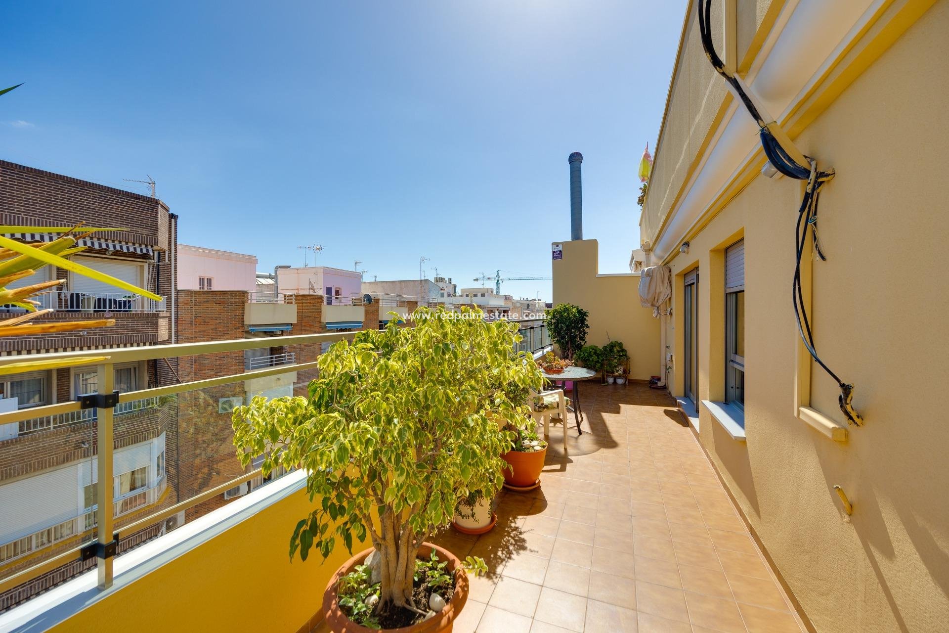 Reventa - Apartamento -
Torrevieja - Centro Torrevieja