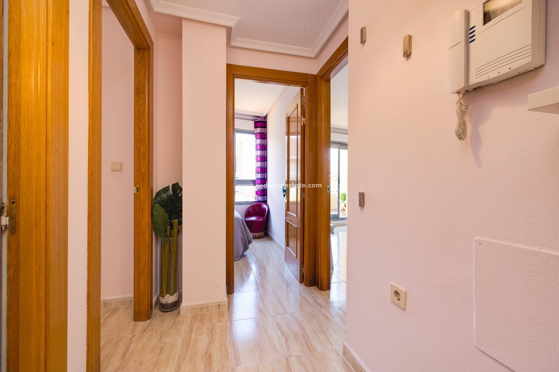 Reventa - Apartamento -
Torrevieja - Centro Torrevieja