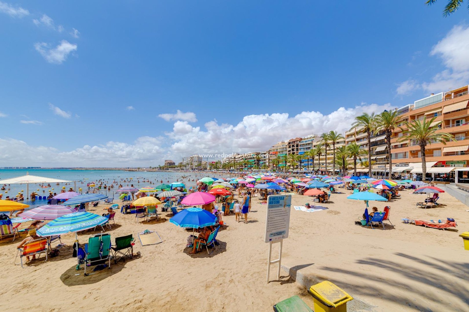 Reventa - Apartamento -
Torrevieja - Centro Torrevieja