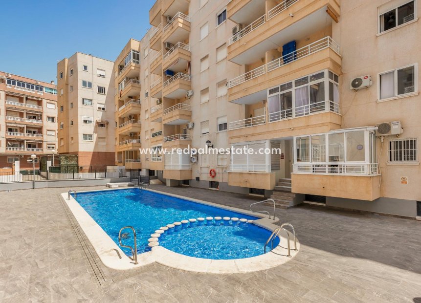 Reventa - Apartamento -
Torrevieja - Centro Torrevieja