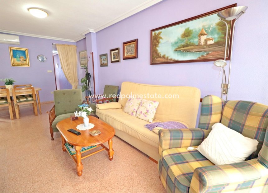 Reventa - Apartamento -
Torrevieja - Costa Blanca