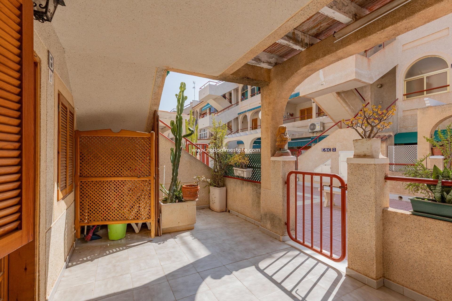 Reventa - Apartamento -
Torrevieja - El Acequión - Los Náufragos