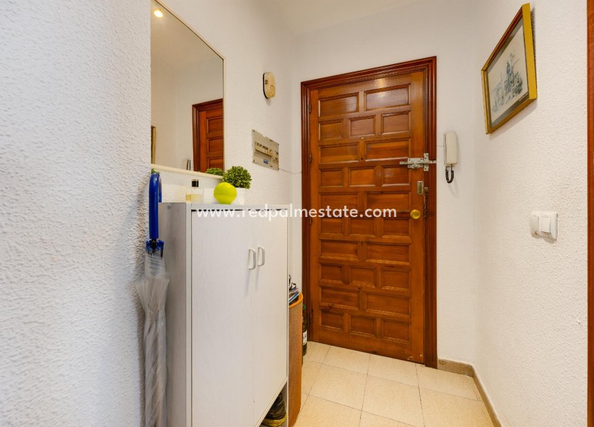Reventa - Apartamento -
Torrevieja - El Acequión - Los Náufragos