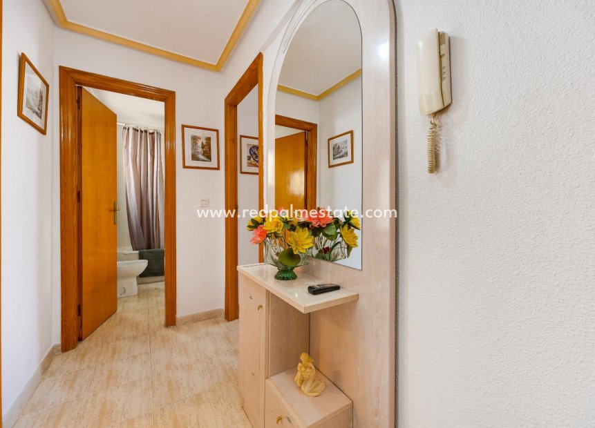 Reventa - Apartamento -
Torrevieja - El Acequión - Los Náufragos