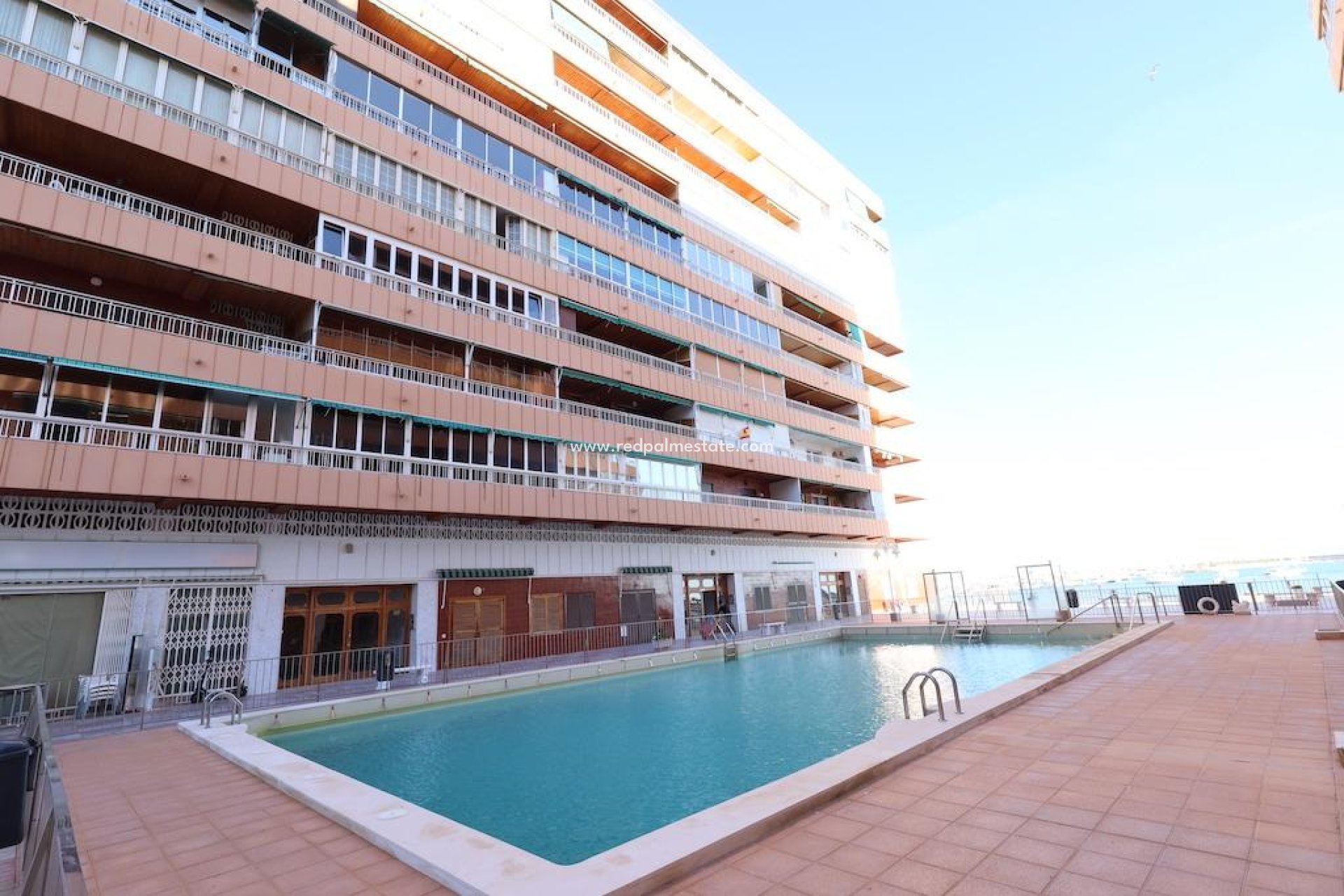 Reventa - Apartamento -
Torrevieja - El Acequión - Los Náufragos