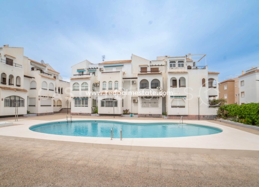 Reventa - Apartamento -
Torrevieja - El Acequión - Los Náufragos