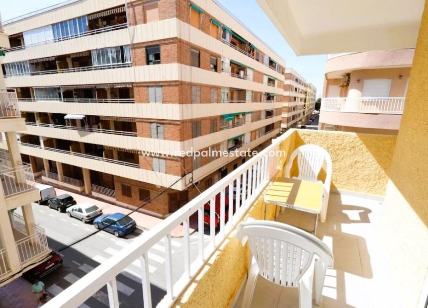 Reventa - Apartamento -
Torrevieja - El Acequión - Los Náufragos