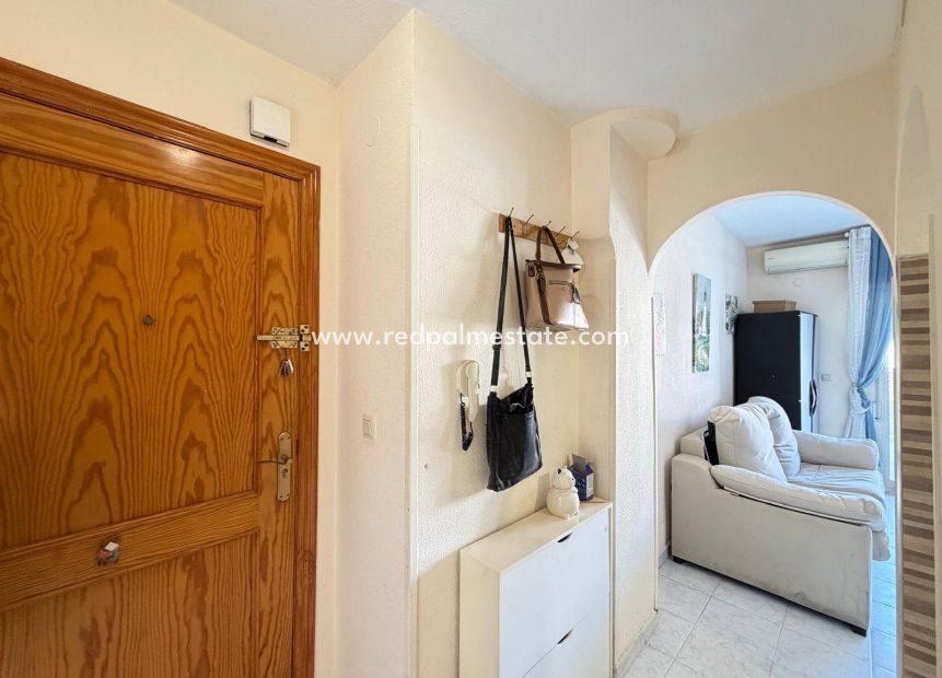 Reventa - Apartamento -
Torrevieja - El Acequión - Los Náufragos