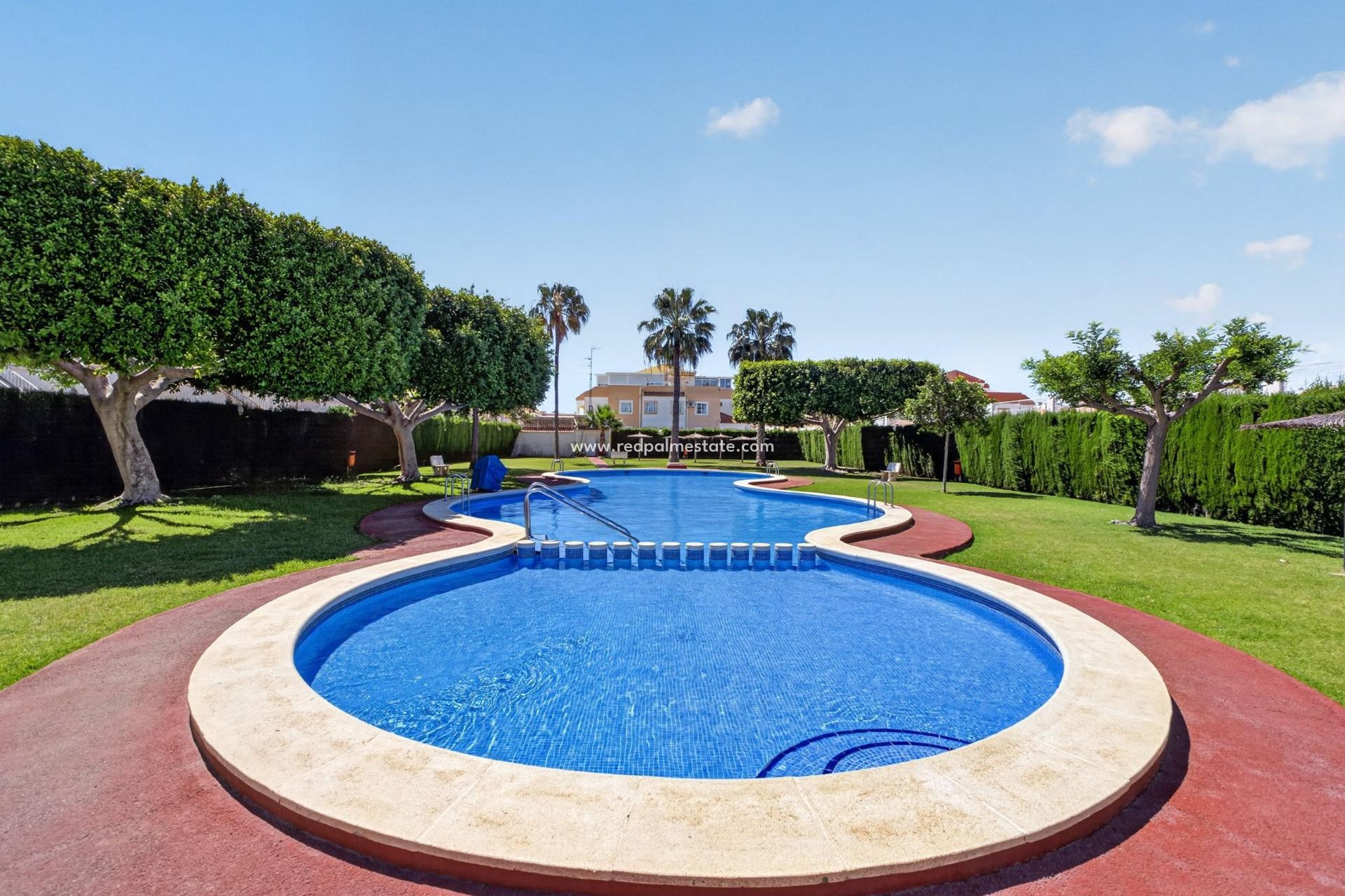 Reventa - Apartamento -
Torrevieja - El limonar