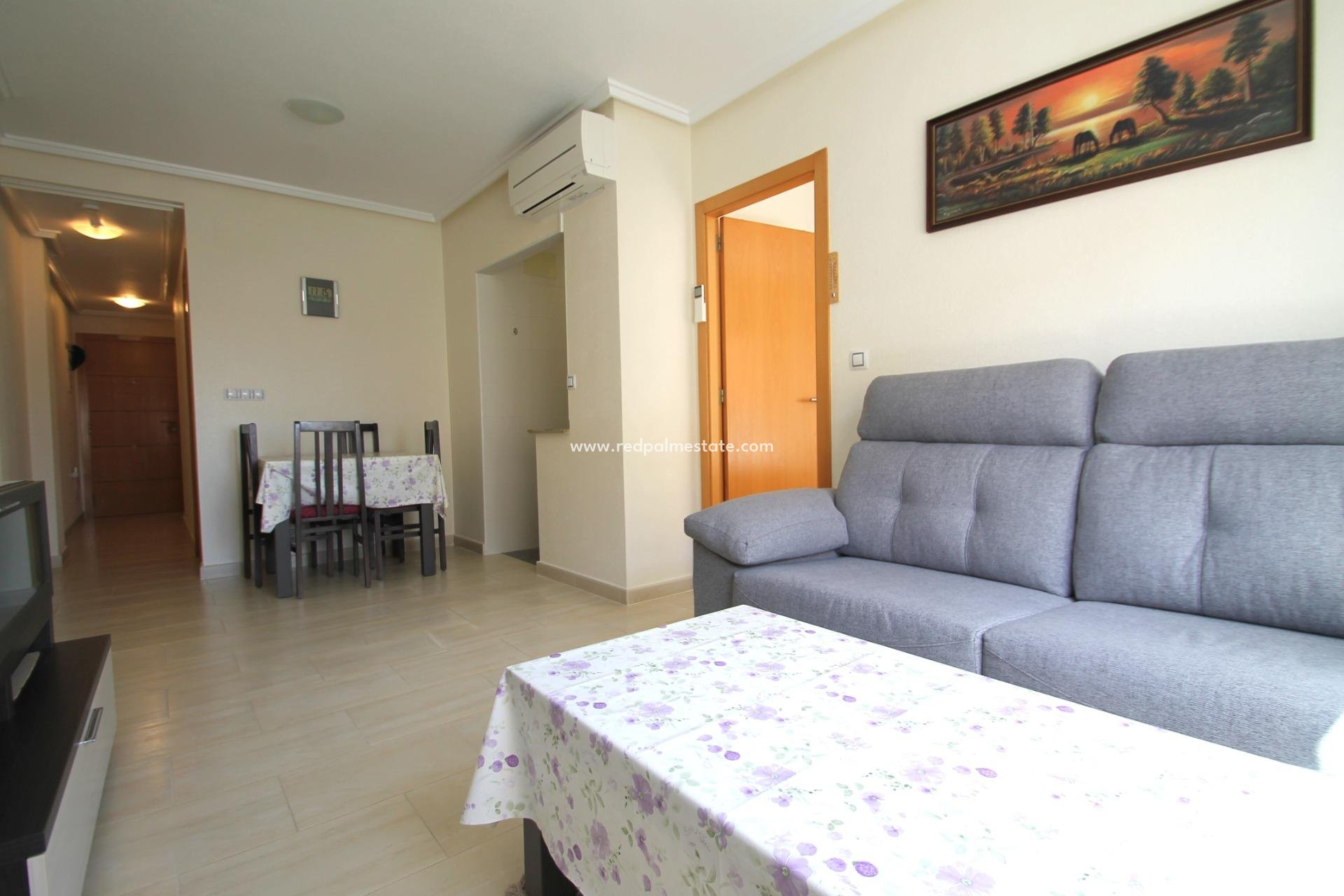 Reventa - Apartamento -
Torrevieja - El molino