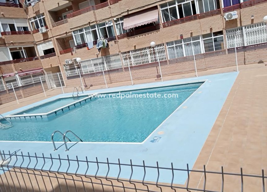 Reventa - Apartamento -
Torrevieja - El molino