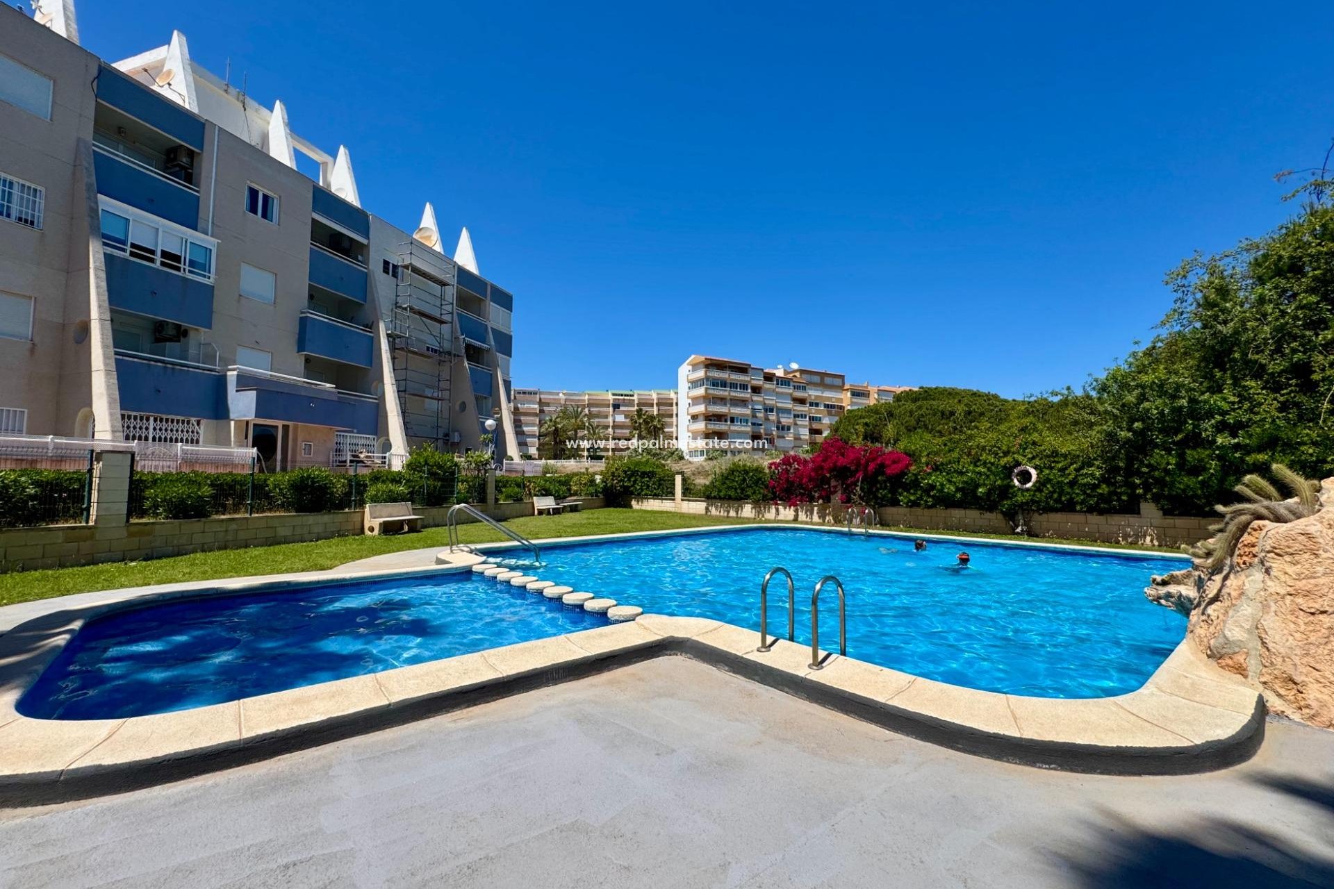 Reventa - Apartamento -
Torrevieja - Gaspar Perrelló