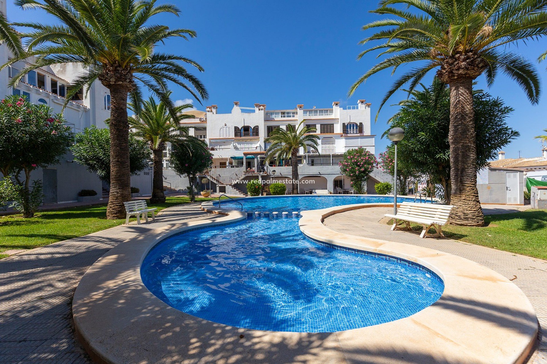 Reventa - Apartamento -
Torrevieja - La Mata