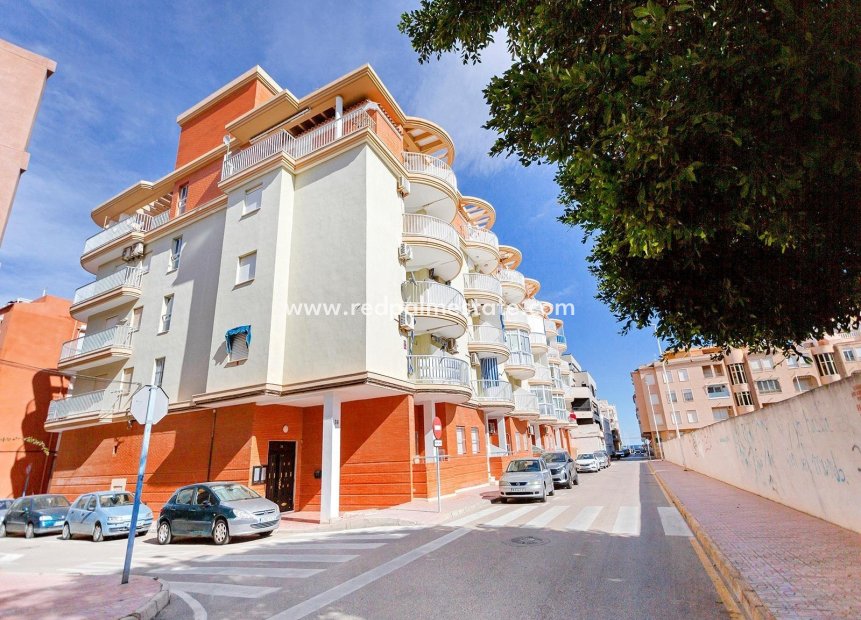 Reventa - Apartamento -
Torrevieja - La Mata