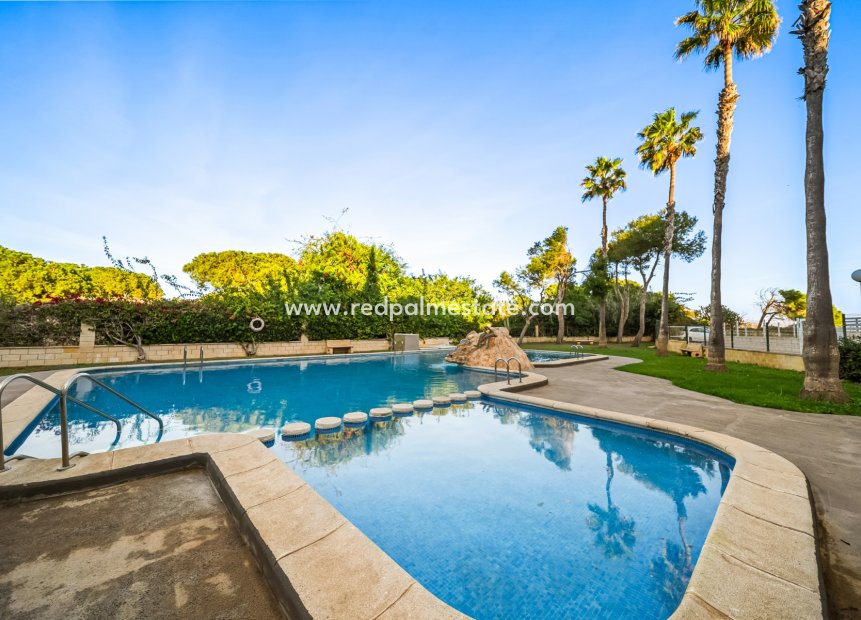 Reventa - Apartamento -
Torrevieja - La Mata