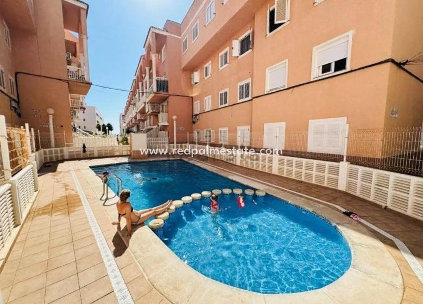 Reventa - Apartamento -
Torrevieja - La Mata