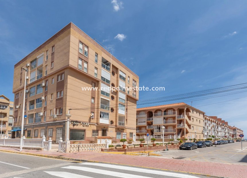 Reventa - Apartamento -
Torrevieja - La Mata