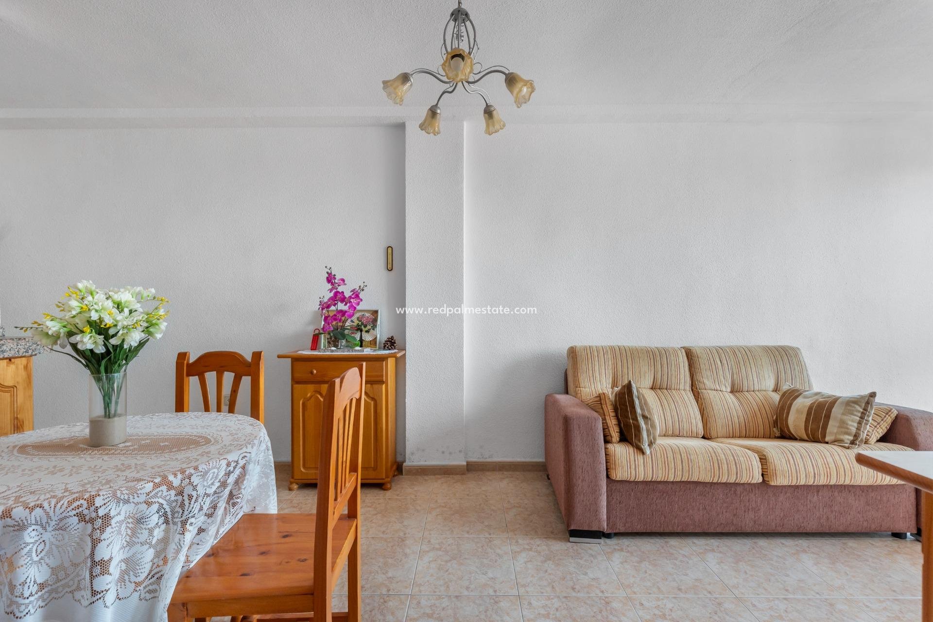 Reventa - Apartamento -
Torrevieja - La Mata