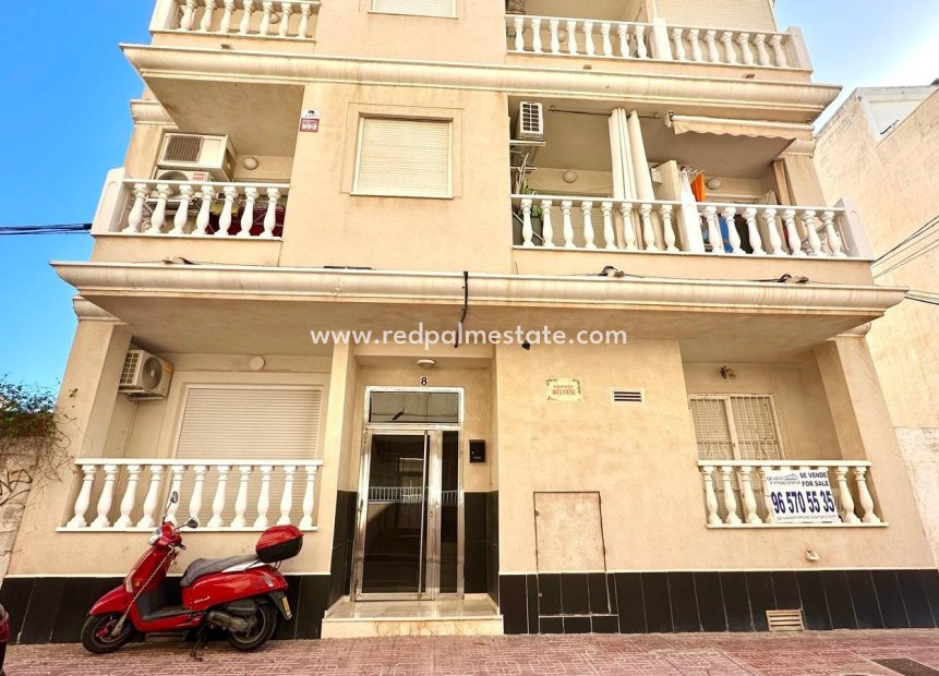 Reventa - Apartamento -
Torrevieja - La Mata