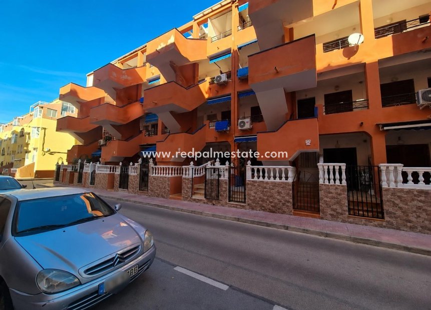 Reventa - Apartamento -
Torrevieja - La Mata
