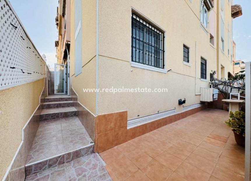 Reventa - Apartamento -
Torrevieja - La Mata