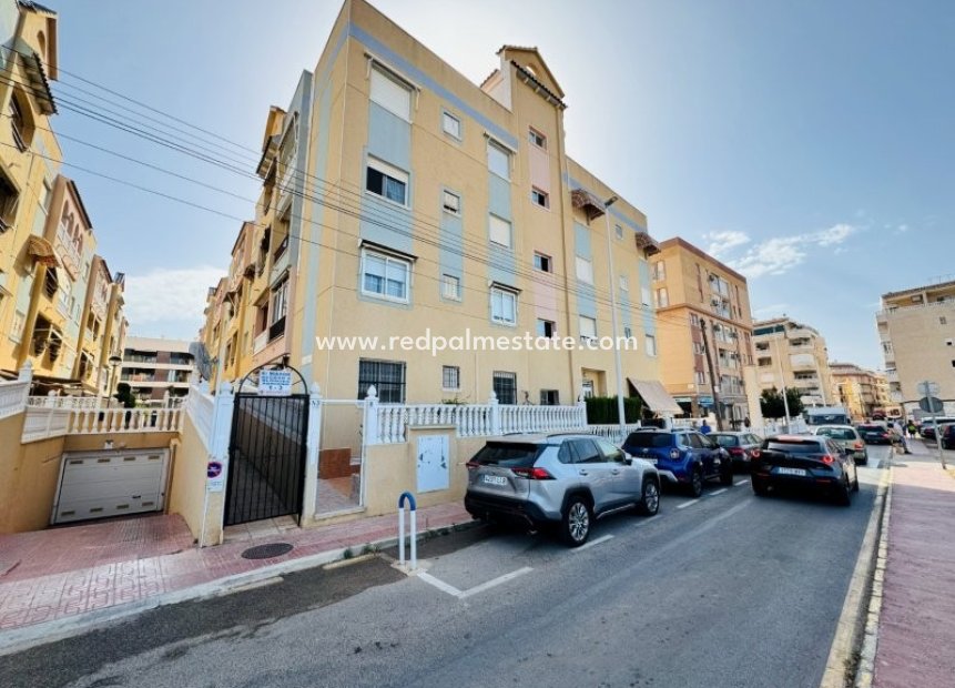 Reventa - Apartamento -
Torrevieja - La Mata