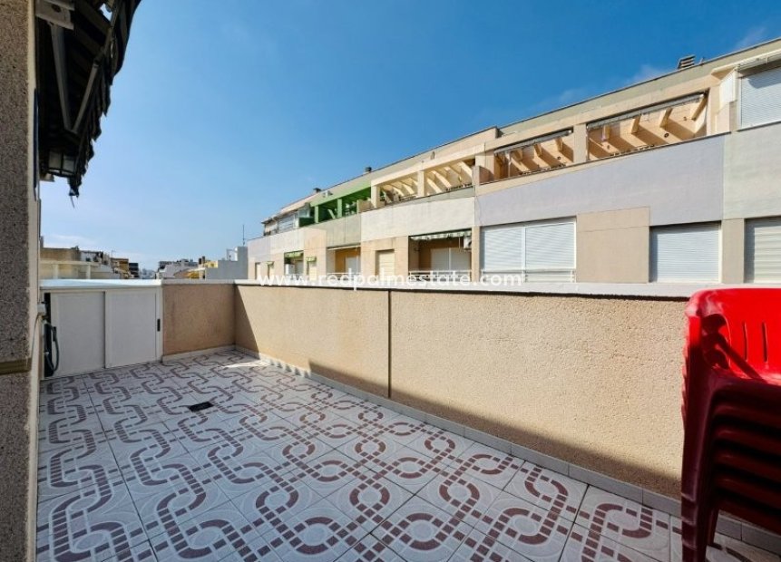 Reventa - Apartamento -
Torrevieja - La Mata