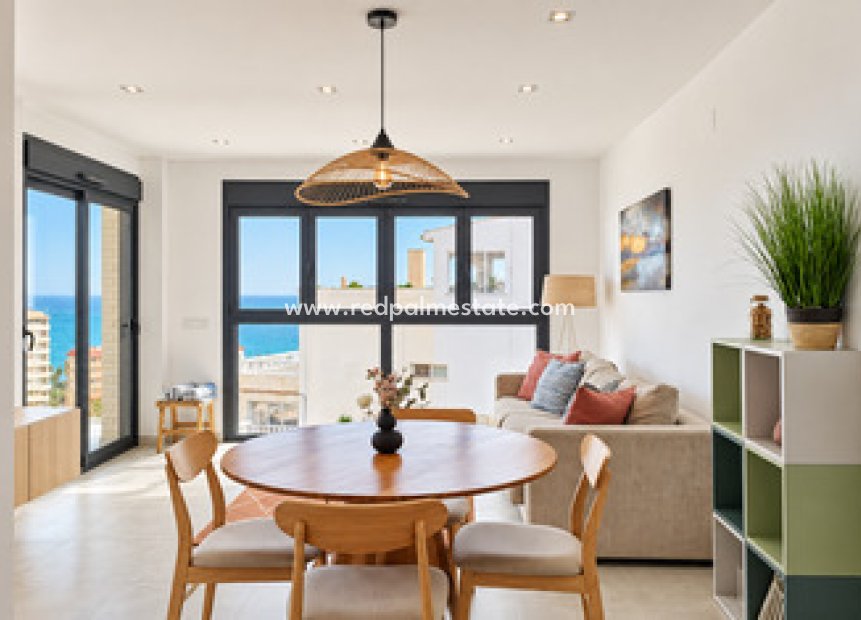 Reventa - Apartamento -
Torrevieja - La Mata